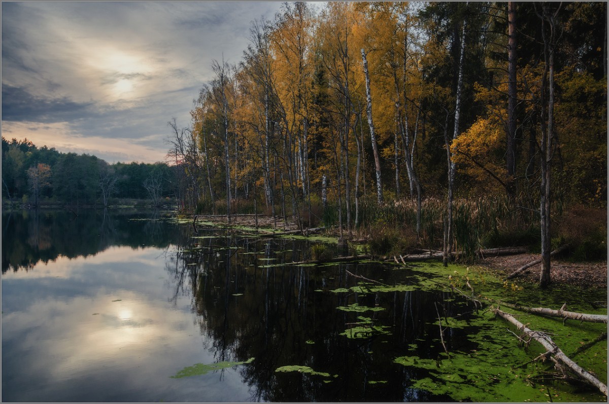 Осенний покой лесного озера (снимок сделан 18 октября 2015 г.)