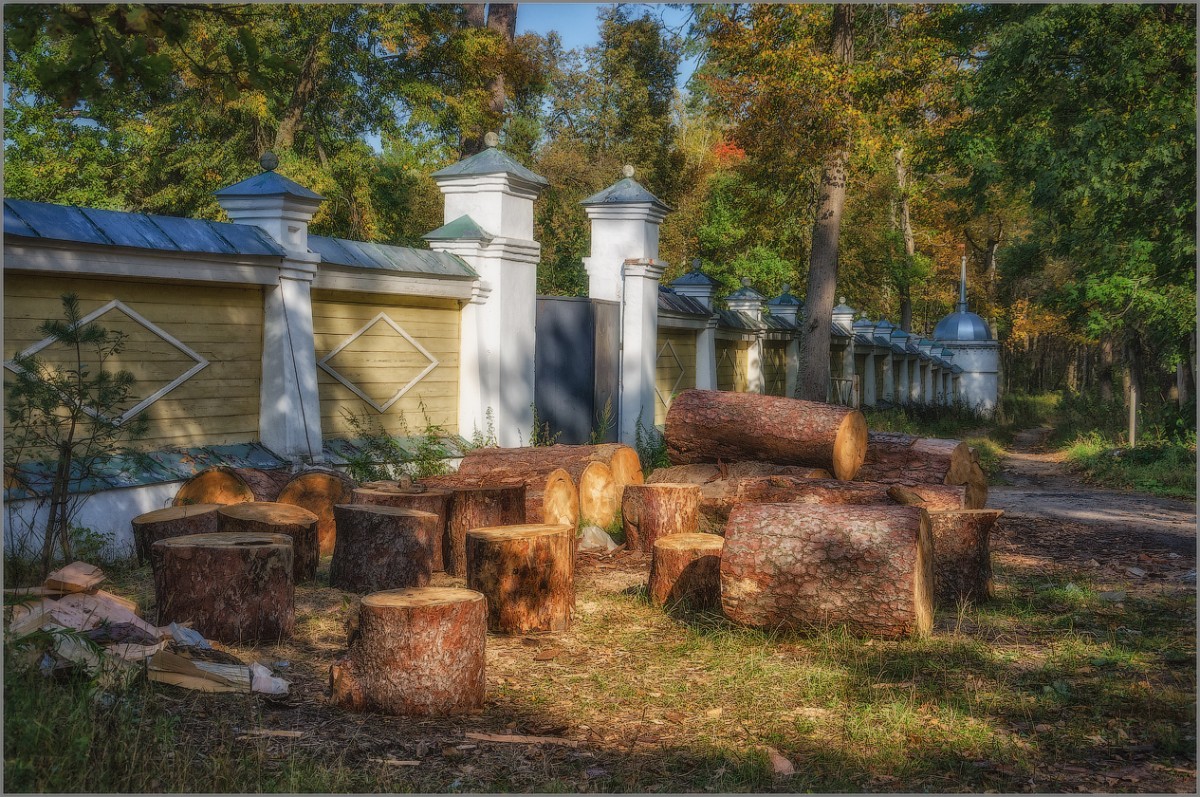 Заготовка дров к зиме (снимок сделан 19 сентября 2015 г.)