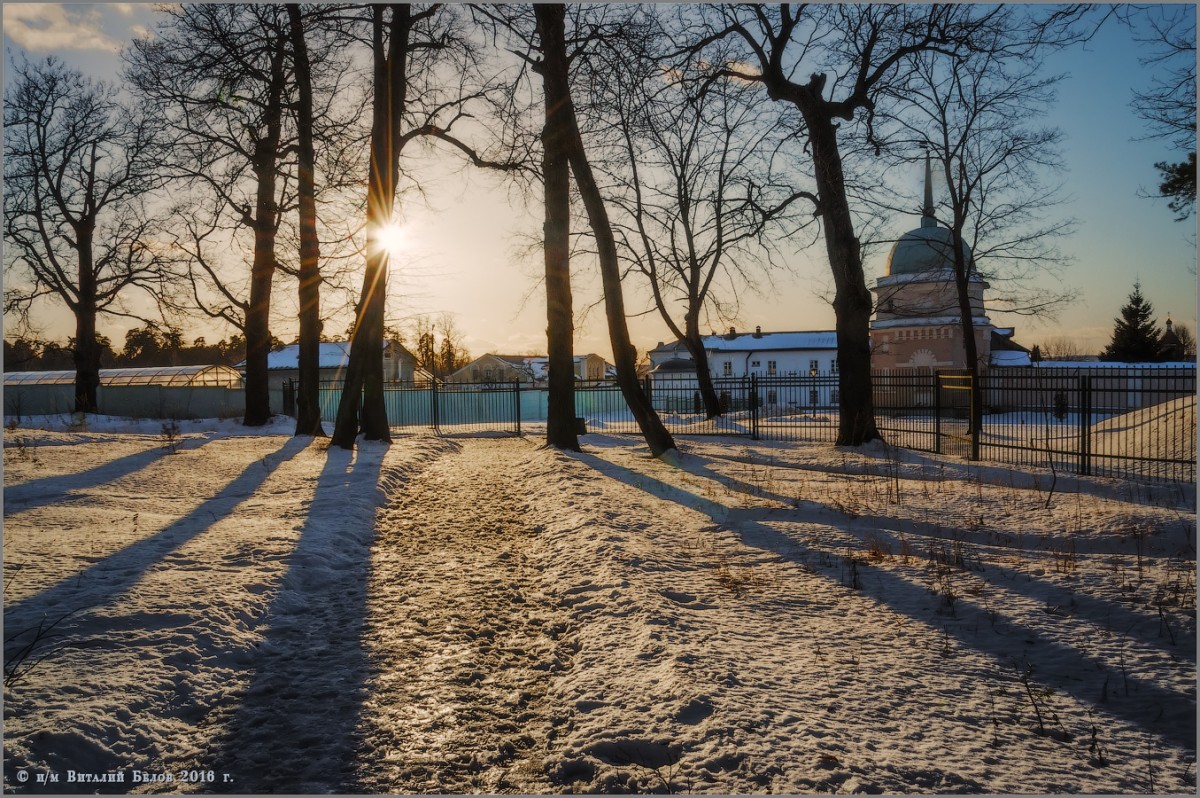 «Рисует солнце тени на снегу» (снимок сделан 29 января 2016 г.)