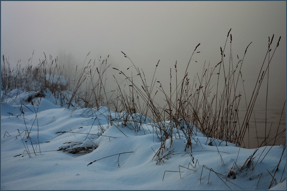 Зимние травы ( 9 декабря 2012 г.)