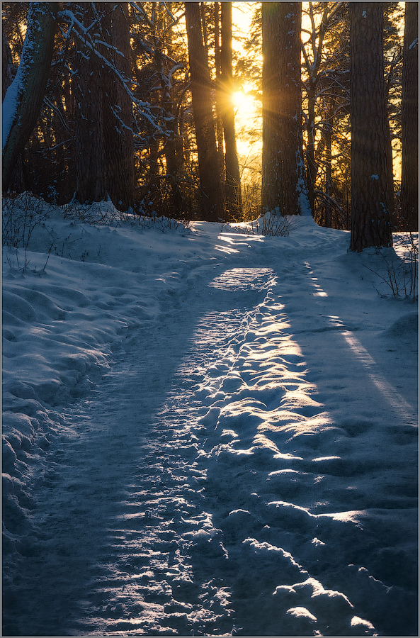 Скользящий свет по снежному покрову (снимок сделан 24 января 2016 г.)