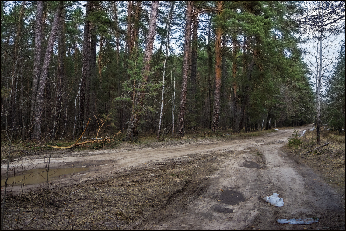 Лесные дороги ( Снимок сделан 21 апреля 2013 г.)