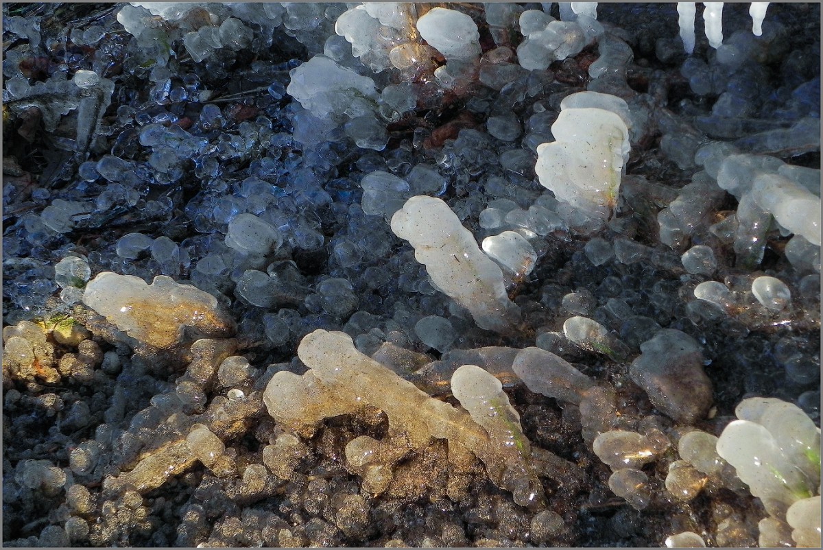 Ледяные кораллы