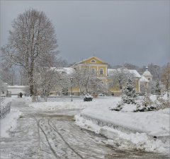 Теплый январь (снимок сделан 3 января 2017 г.)