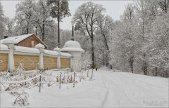 По свежему снегу (снимок сделан 3 января 2017 г.)