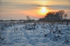 Покой зимнего вечера (снимок сделан 9 декабря 2012 г.)