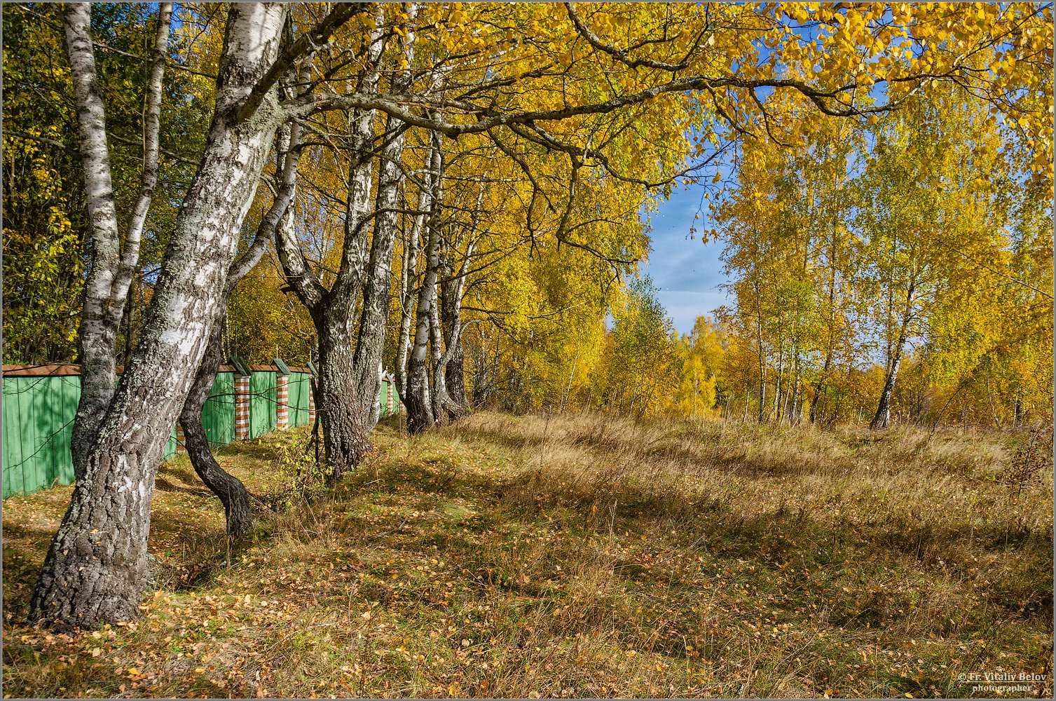 Осенний ноктюрн (снимок сделан 14 октября 2018 г.)