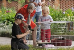 Дети то доставали котят,то убирали обратно в клетку.