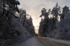 Зимняя дорога в Оптину