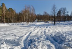Снежный февраль (снимок сделан 23 февраля 2013 г.)