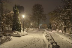 Свежий снег при свете фонарей (снимок сделан 4 января 2017 г.)