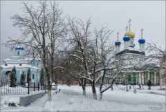 Снежное убранство (снимок сделан 11 января 2017 г.)