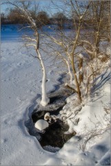 Побережье скрытой подо льдом реки (снимок сделан 24 января 2016 г.)
