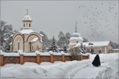 Монах и птицы (снимок сделан 18 января 2013 г.)