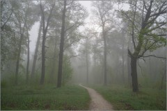Весенними туманами (снимок сделан 6 мая 2012 г.)