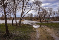 Дорога в разлив ( снимок сделан 21 апреля 2013 г.)