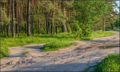 Изъезженная дорога ( Снимок сделан летом 2013 г.)