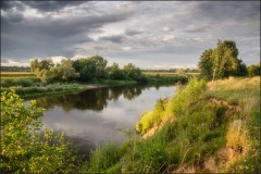 Живописные берега речки Жиздры ( Снимок сделан 21 июля 2013 г.)